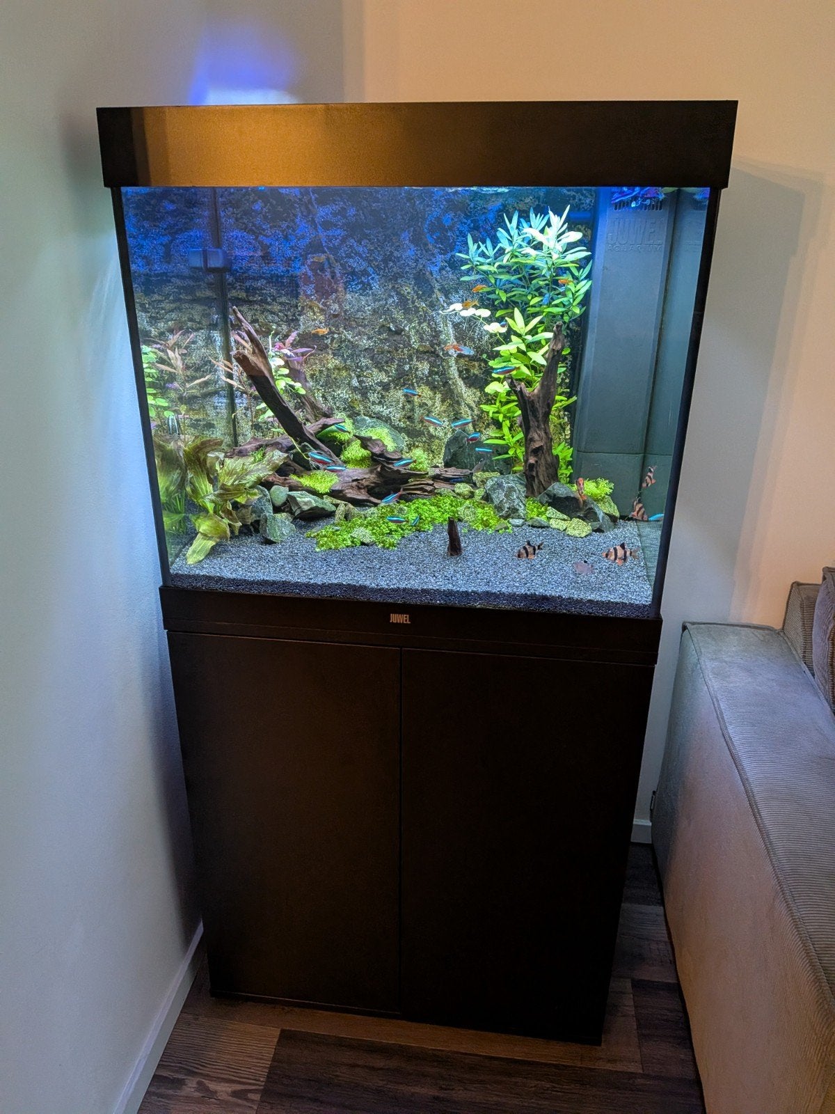 aqarium lido 200, Ophalen, Gebruikt, Gevuld zoetwateraquarium