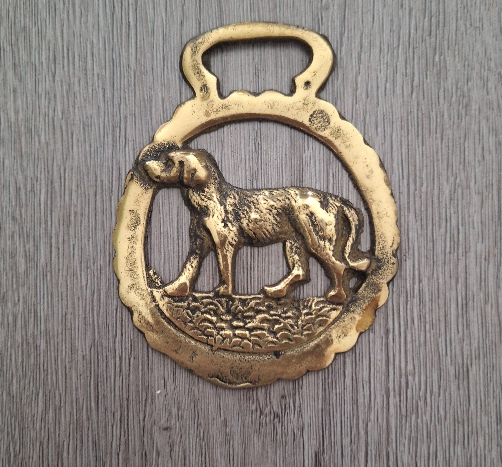 Messing paardenmedaillon paardenbeslag 10 cm, Ophalen of Verzenden