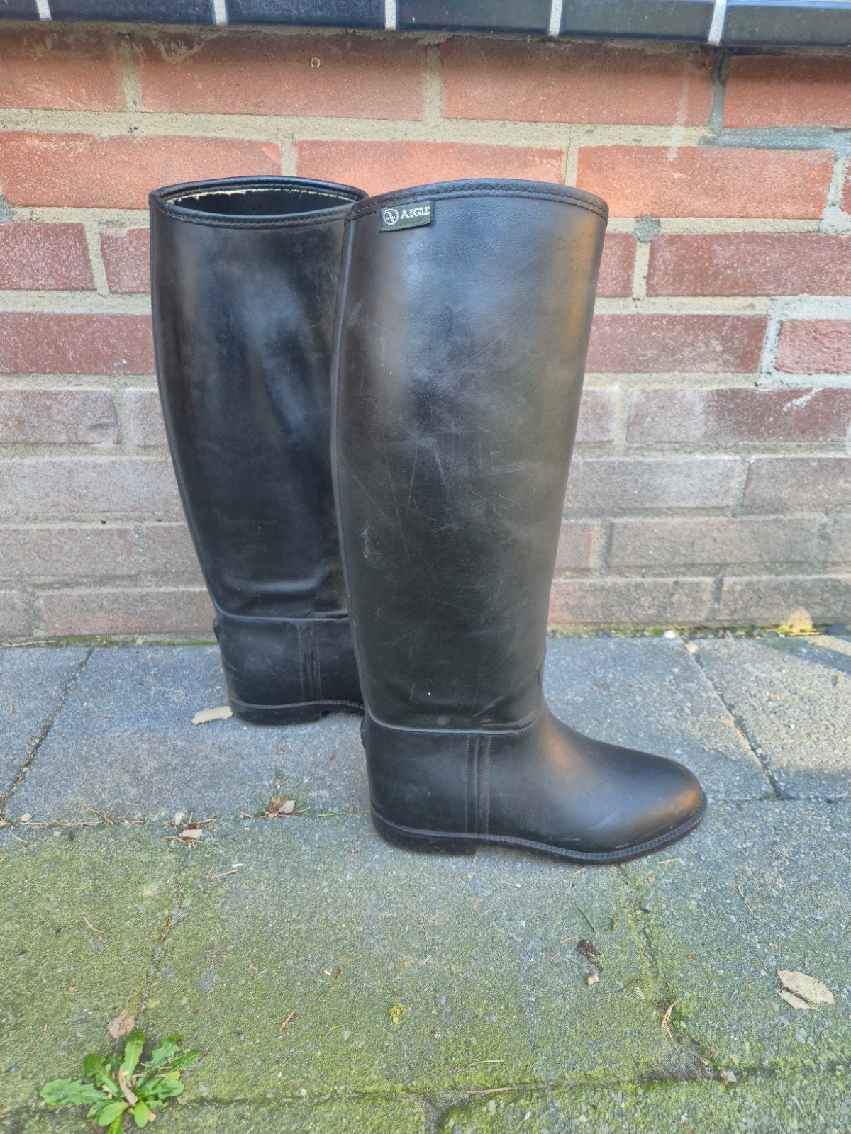 Aigle paardrijlaarzen 37, Gebruikt, Kinderen, Dressuur, Aigle