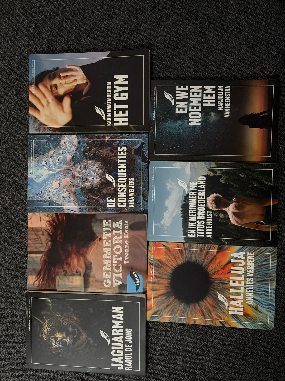 Boekenpakket: 7 diverse romans van Nederlandse auteurs, Boeken, Ophalen of Verzenden, Gelezen, Nederland