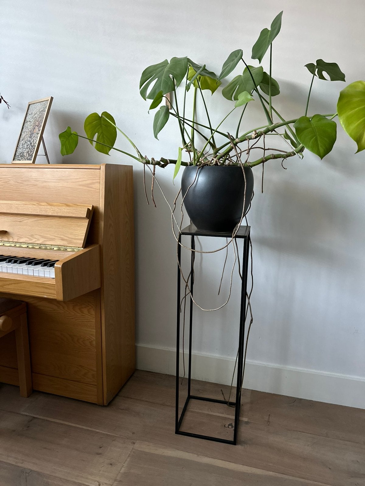 Mooie strakke plantenstandaard van de Intratuin 85 cm hoog, Ophalen, Zo goed als nieuw