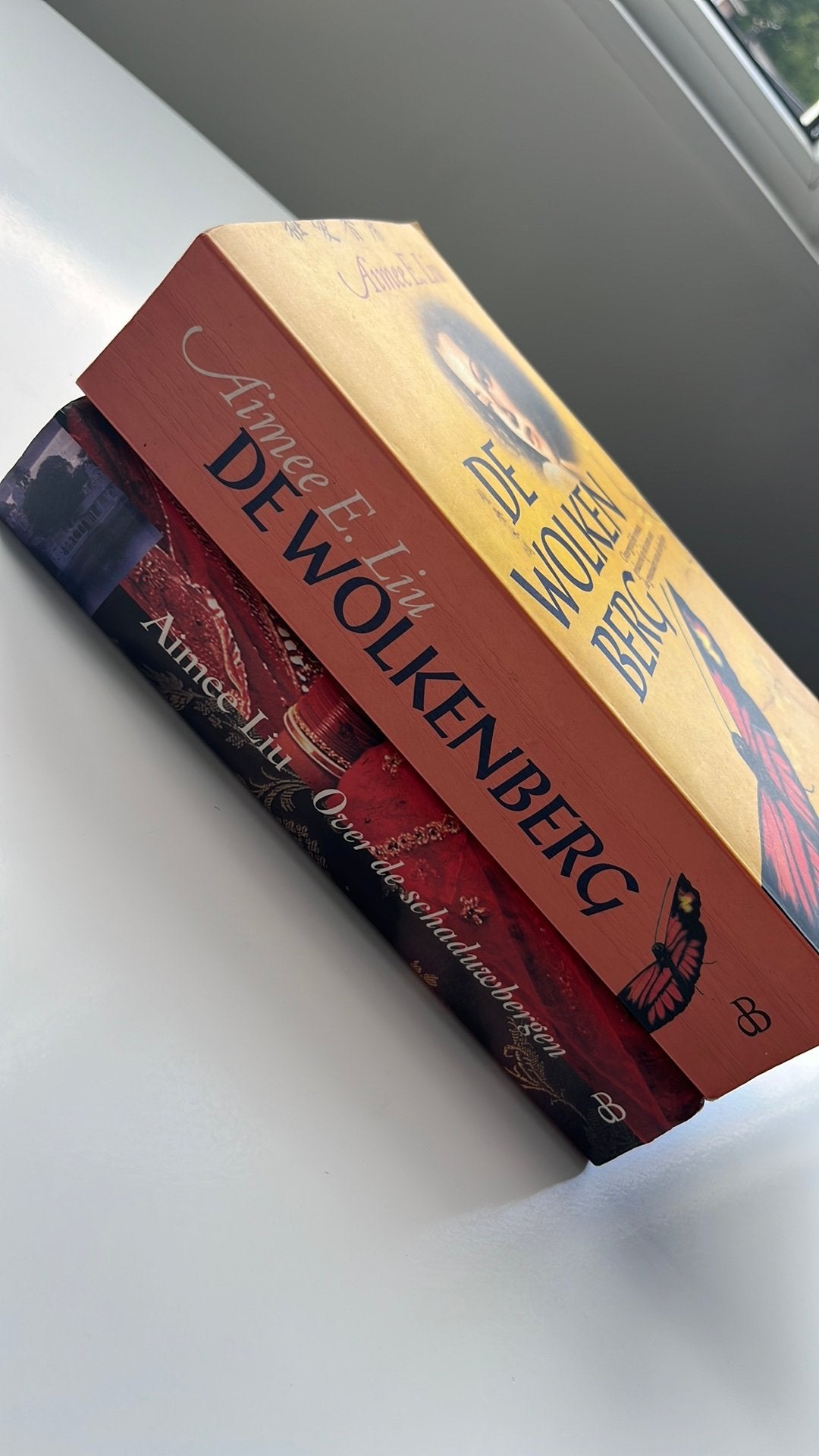 Aimee Liu NL, Ophalen of Verzenden, Zo goed als nieuw
