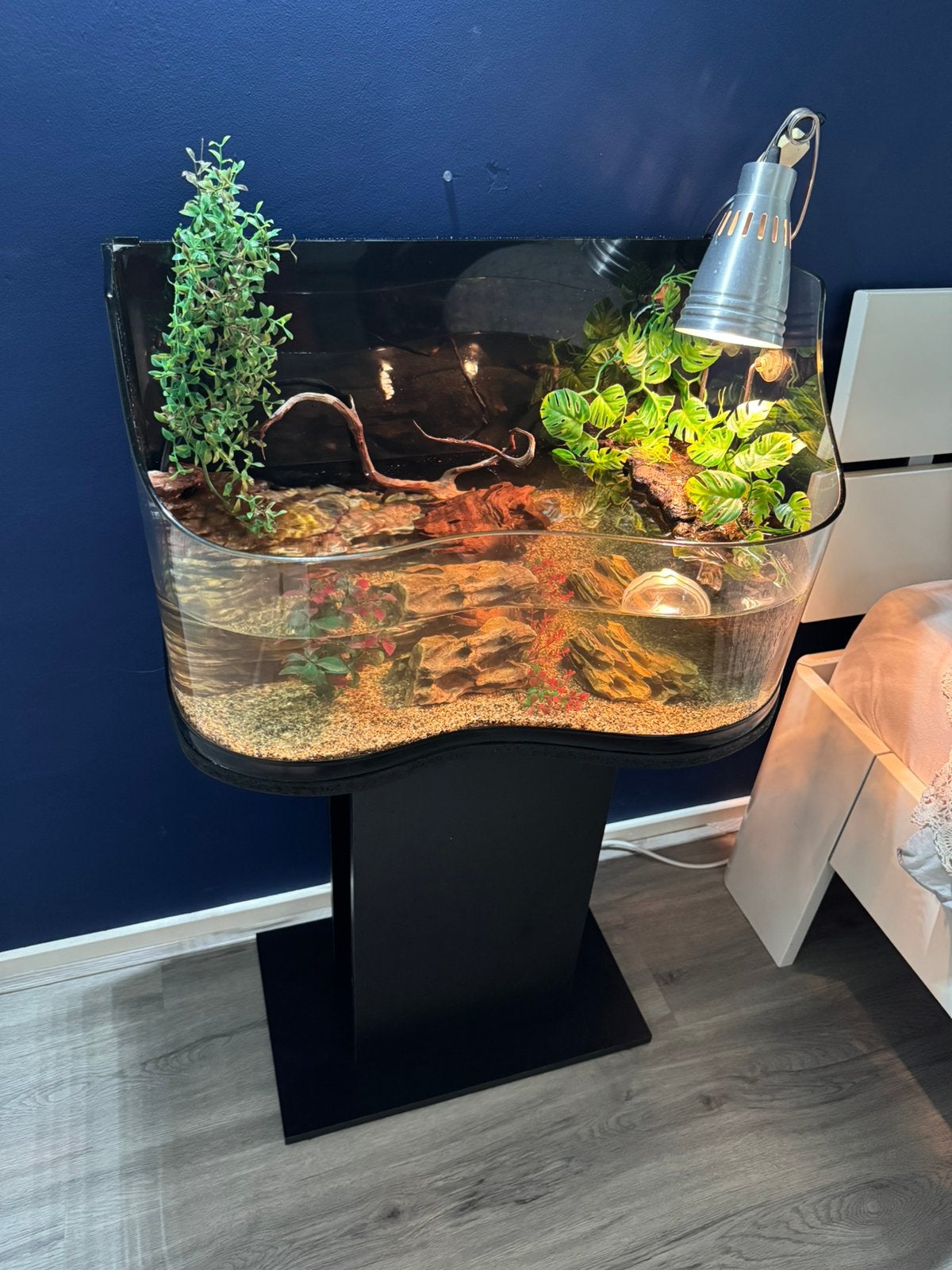 Schildpad verblijf, Dieren en Toebehoren, Ophalen of Verzenden, Zo goed als nieuw, Terrarium of Paludarium