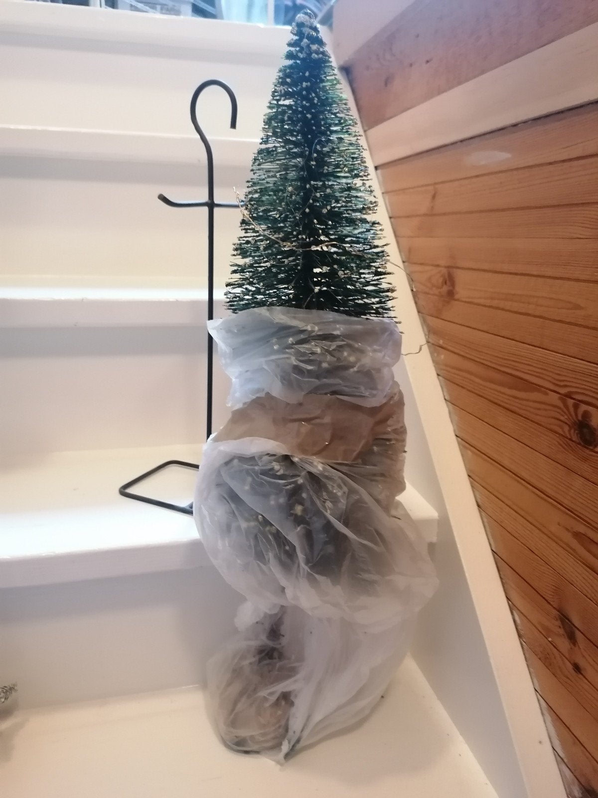 kerstboompje, Ophalen