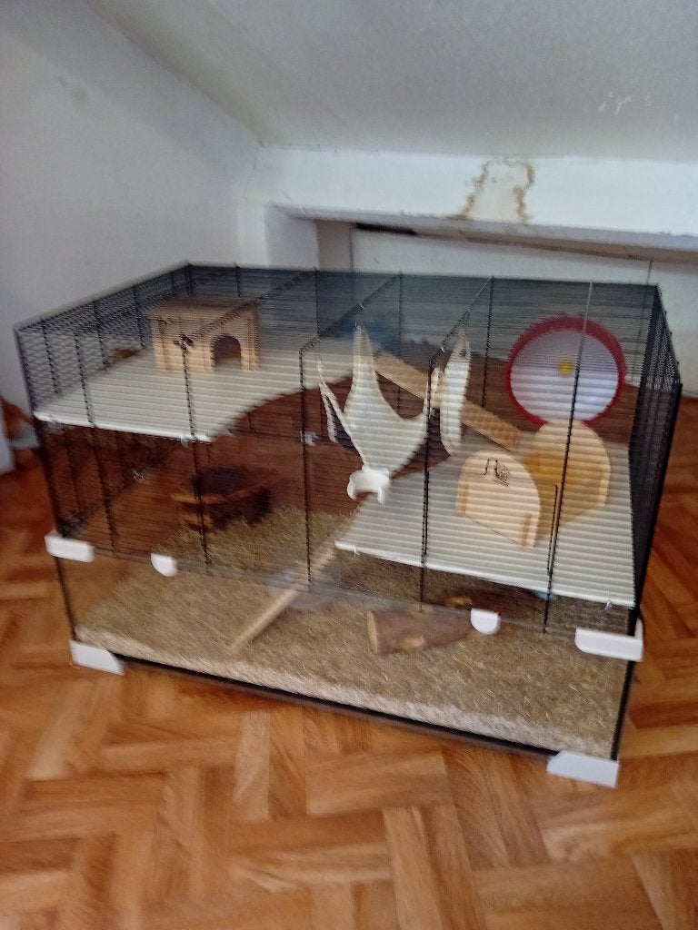 Karat 80 Knaagdieren Kooi van Ferplast, Kooi, 75 tot 110 cm, Ophalen, Minder dan 60 cm