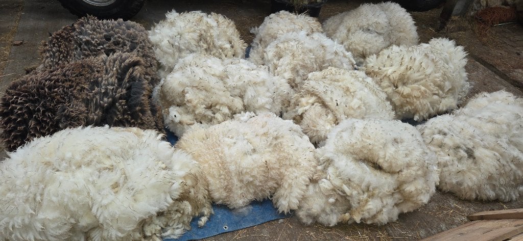 schapenwol voor vilten en spinnen, Ophalen of Verzenden, Spinwol