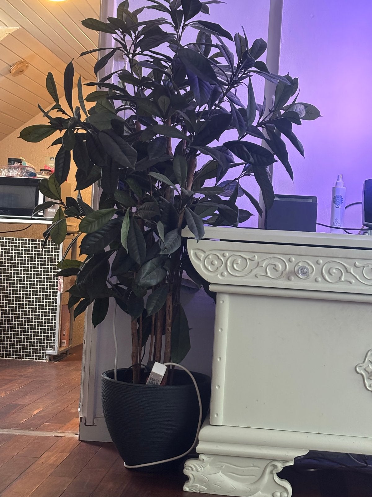 Grote kunstplant met pot - gratis af te halen, Huis en Inrichting, Ophalen, Binnen, Kunstplant, Kunststof