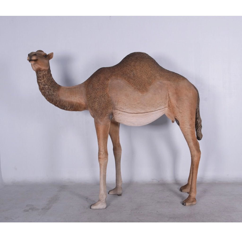 Dromedary Camel – Dromedaris beeld Lengte 250 cm, Verzamelen, Ophalen, Nieuw, Overige typen