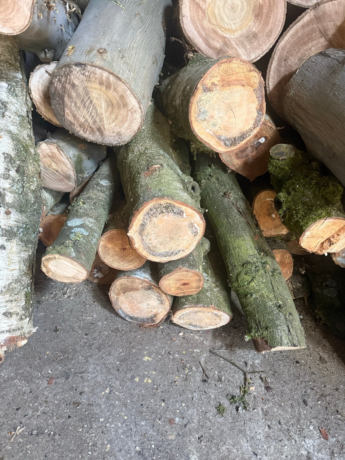 Eiken stamhout - Diverse afmetingen, Tuin en Terras, 3 tot 6 m³, Ophalen, Eikenhout, Stammen