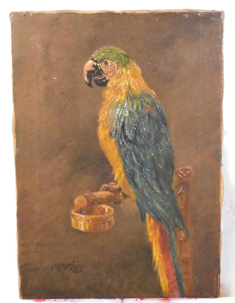 Prachtig Vintage Vogelportret 'Ara Papegaai' – M. Mailin, Ophalen of Verzenden