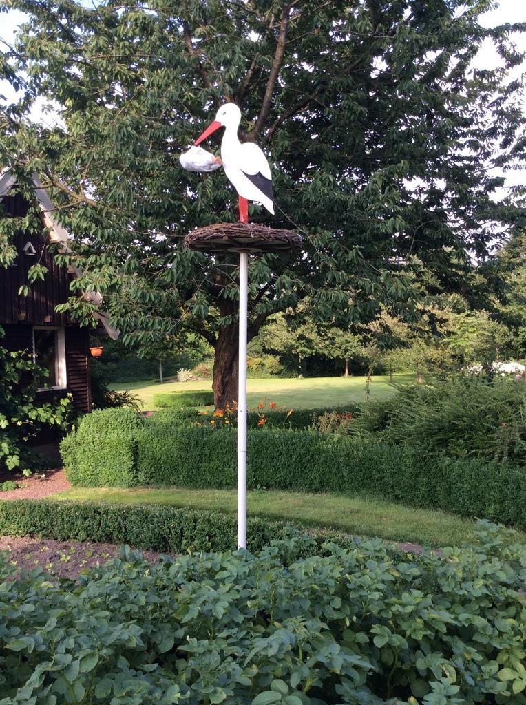 OOIEVAAR op NEST, Ophalen, Zo goed als nieuw, Geboorte of Huwelijk