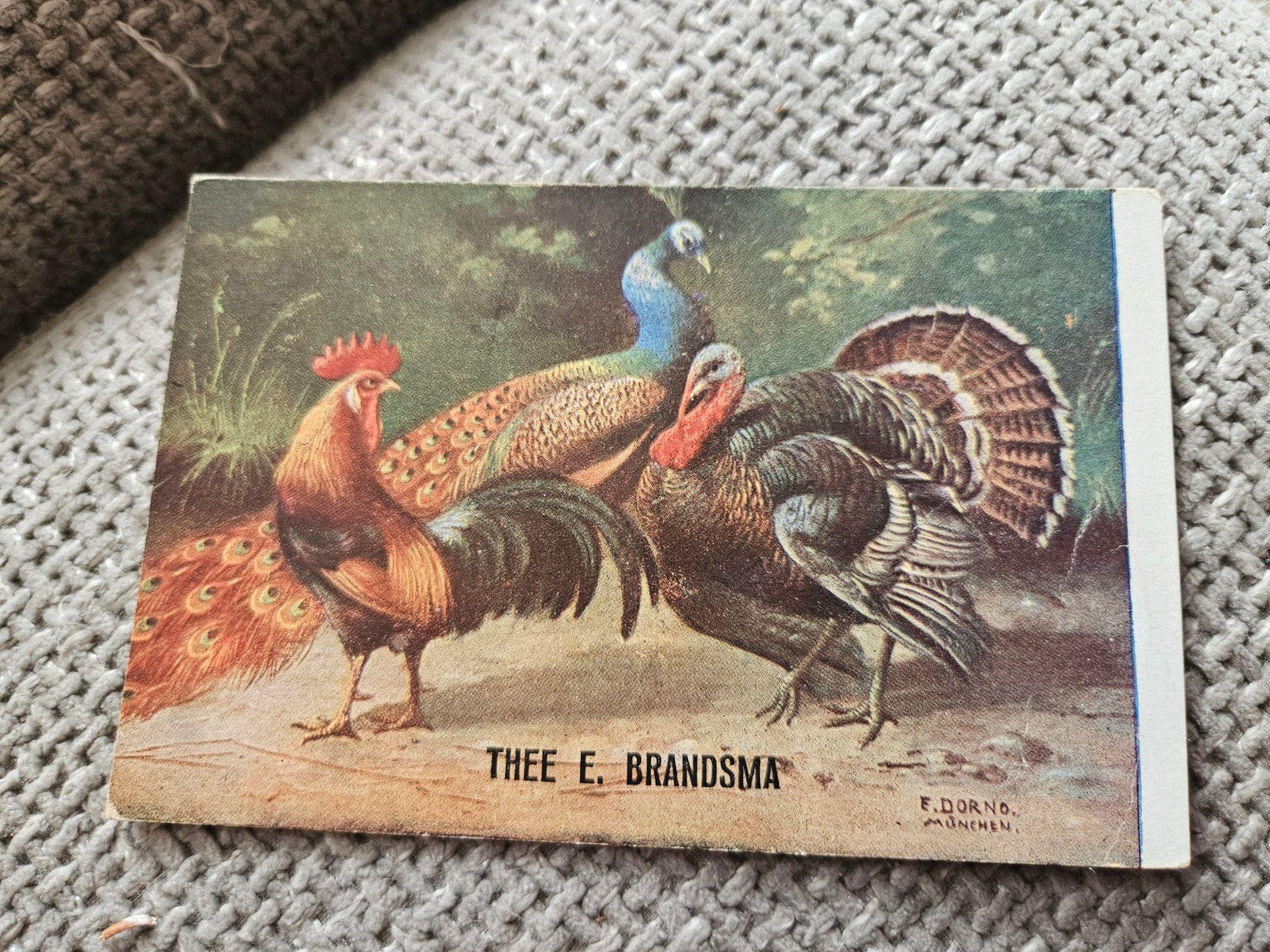 Thee E. Brandsma met vogels, Ophalen of Verzenden, Voor 1920, Gelopen, Overige thema's
