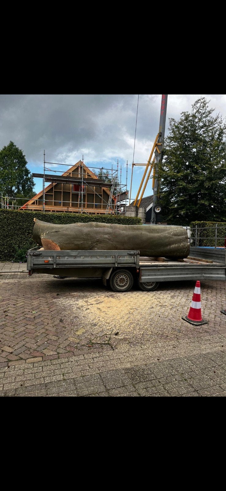 Grote boomstam voor houtbewerking of decoratie, Gebruikt, Ophalen of Verzenden, Balk, Overige houtsoorten