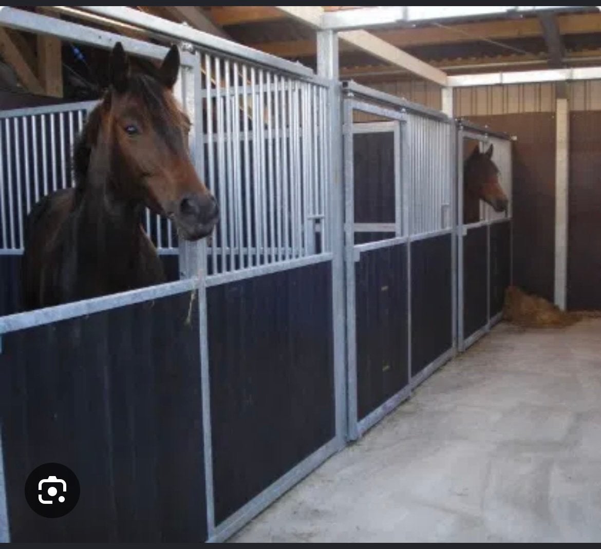 Gezocht! Paardenstalling, Stalling, 4 paarden of pony's of meer