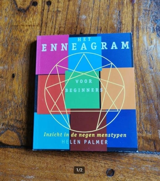 Het Enneagram, Helen Palmer. Voor beginners., Achtergrond en Informatie, Helen Palmer, Ophalen of Verzenden, Zo goed als nieuw