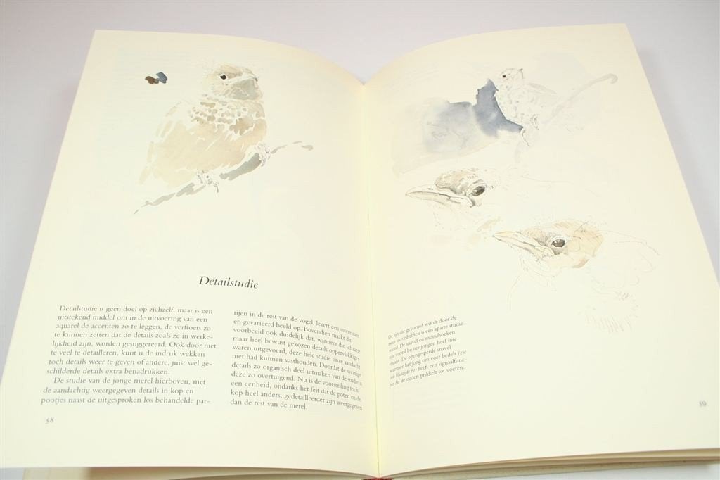 Vogels in Aquarel — Schetsen & Schilderen — Kees de Kiefte, Ophalen of Verzenden, Gelezen
