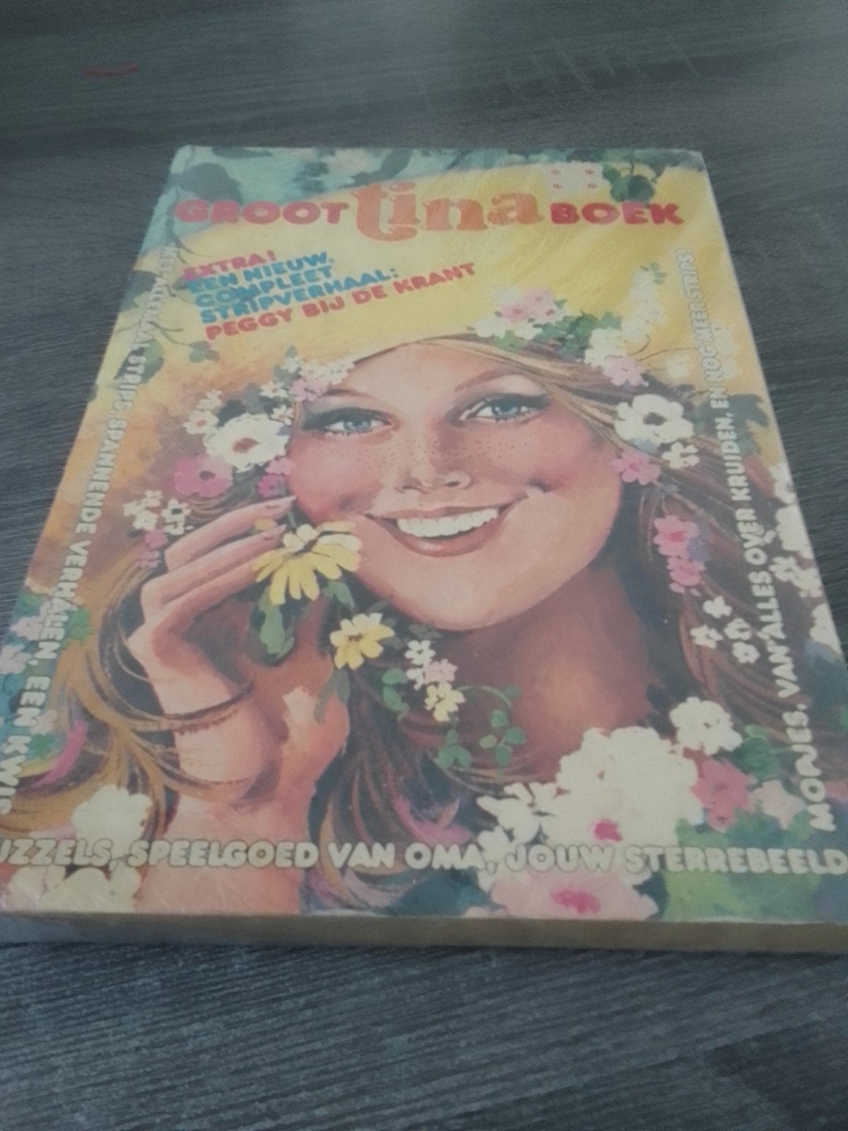 Groot Tina Boek - Extra! Compleet Stripverhaal, Eén stripboek, Ophalen, Gelezen, Diverse auteurs