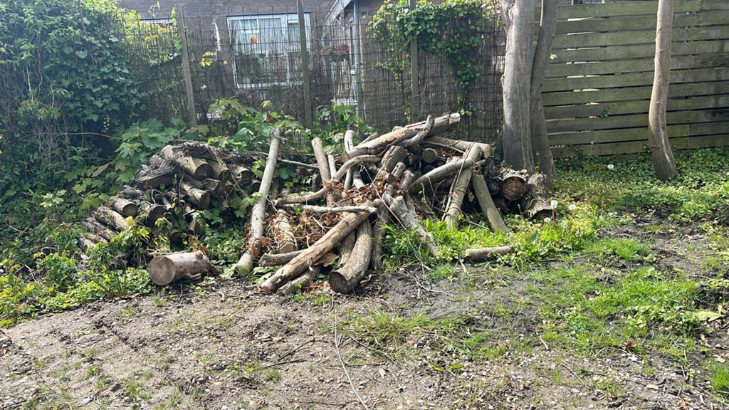 Haardhout stammen vnl berk, Tuin en Terras, Haardhout, 6 m³ of meer, Ophalen, Berkenhout, Stammen