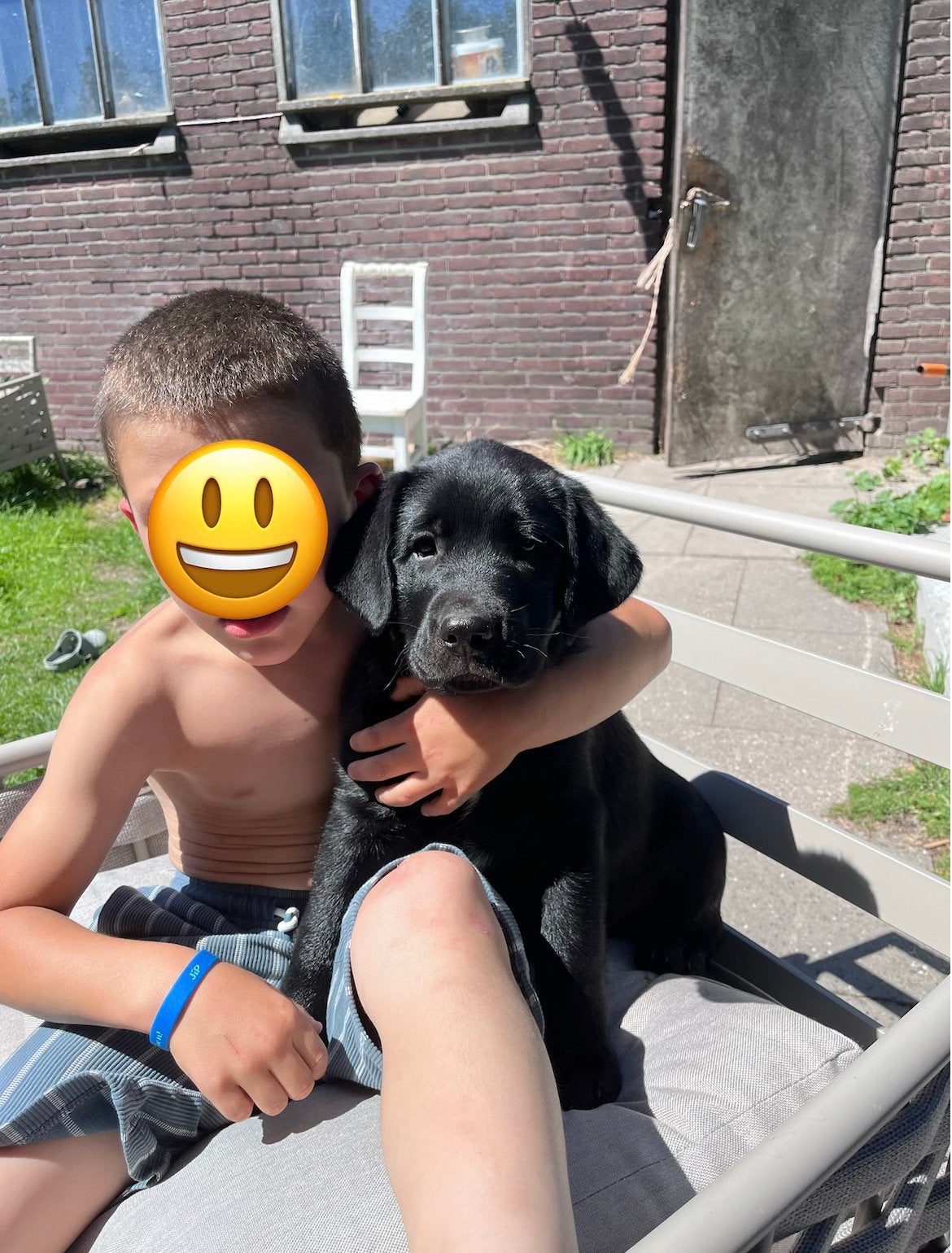 Knappe Pups kruising labrador mogen meteen weg!, 8 tot 15 weken, Labrador retriever, Meerdere, Meerdere dieren