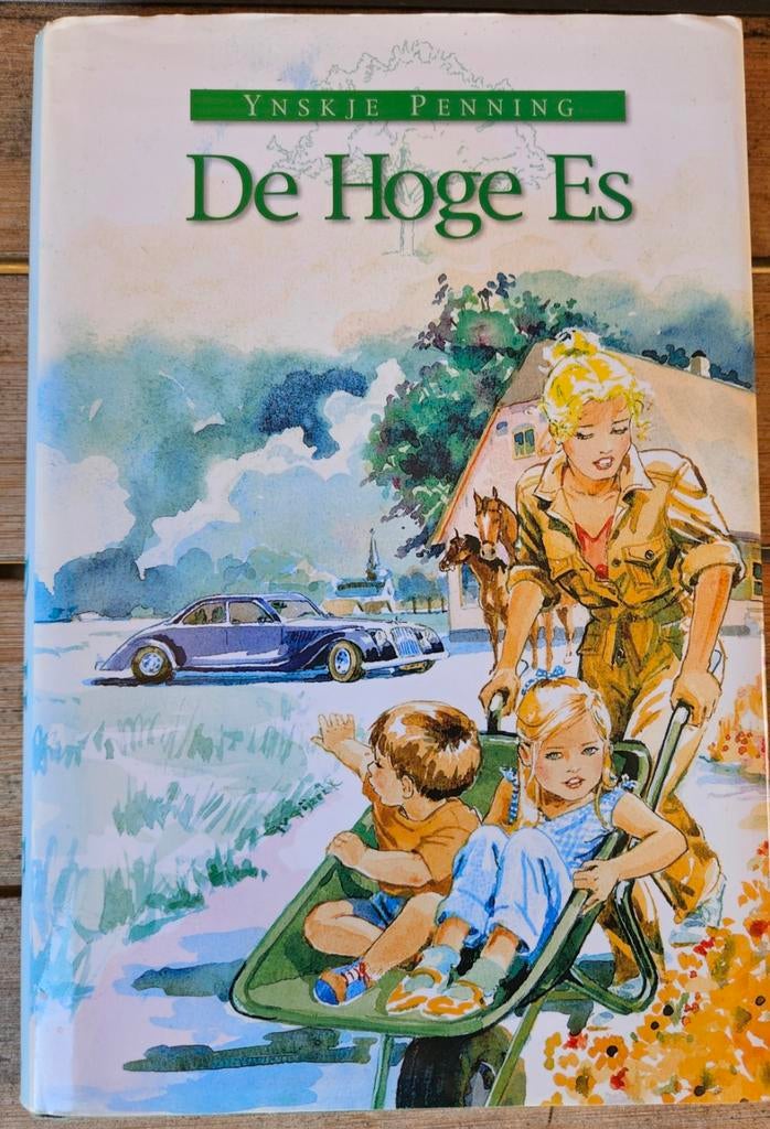 De hoge Es, Boeken, Ophalen of Verzenden, Zo goed als nieuw