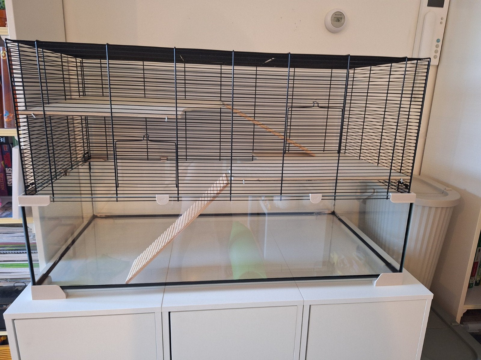 Knaagdierkooi glas/tralies 100cm, Ophalen, Kooi, Gebruikt, 60 tot 90 cm