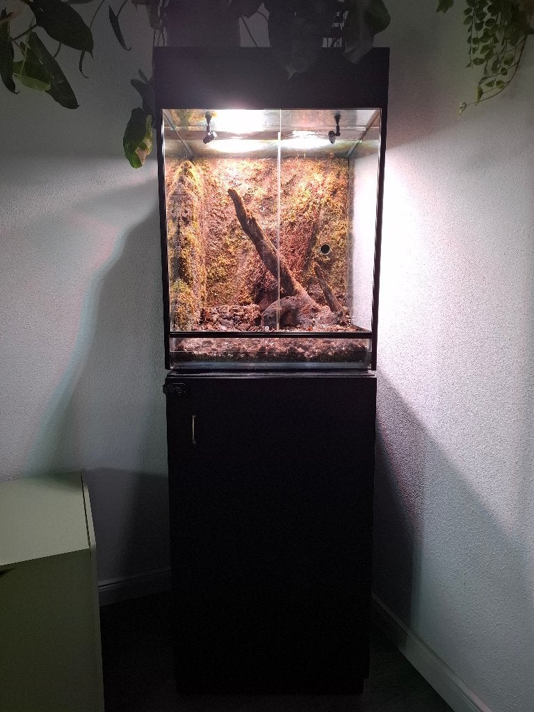 Vivarium, Dieren en Toebehoren, Reptielen en Amfibieën | Toebehoren, Ophalen, Zo goed als nieuw, Terrarium of Paludarium