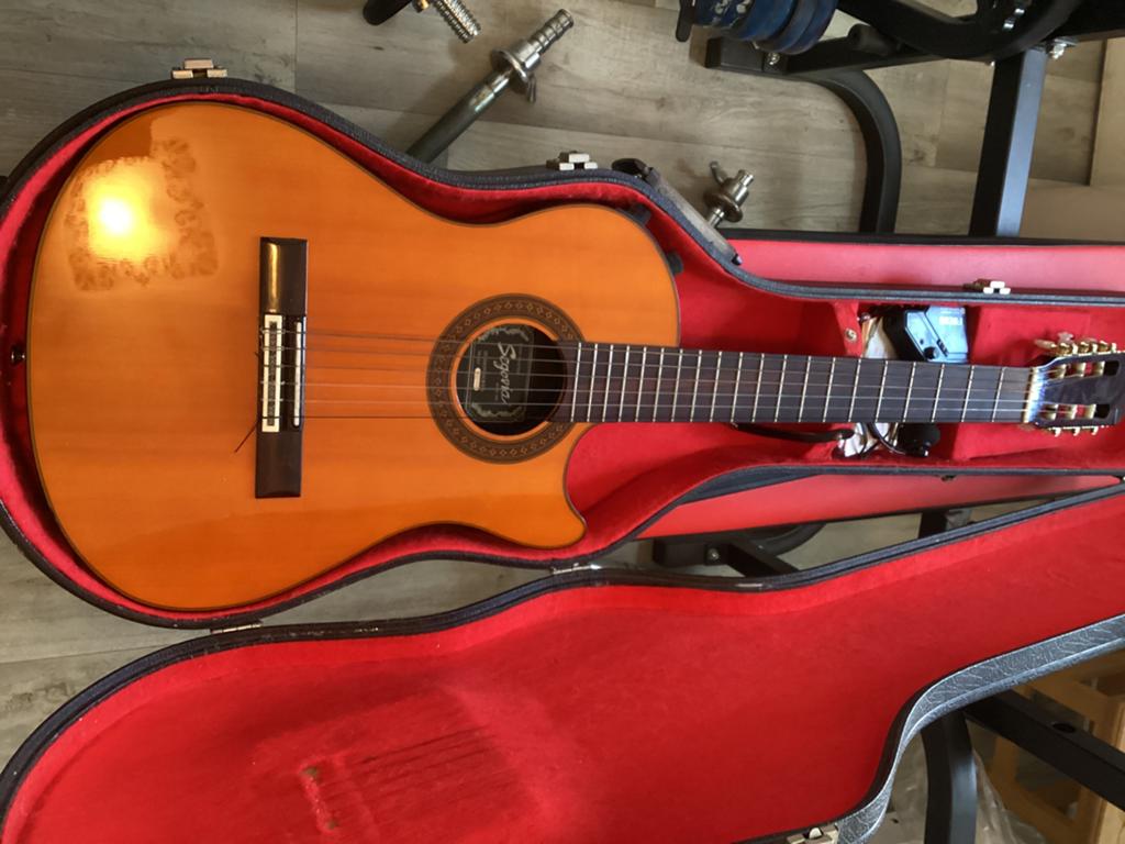 Solidbody elec gitaar, Muziek en Instrumenten, Ophalen of Verzenden, Zo goed als nieuw, Overige typen, Met koffer