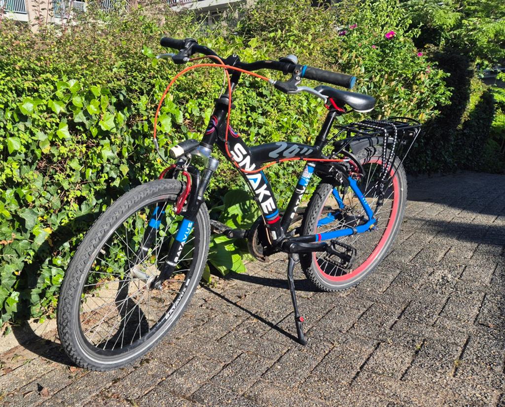Batavus Snake 24", Gebruikt, Hardtail, Ophalen, Overige merken