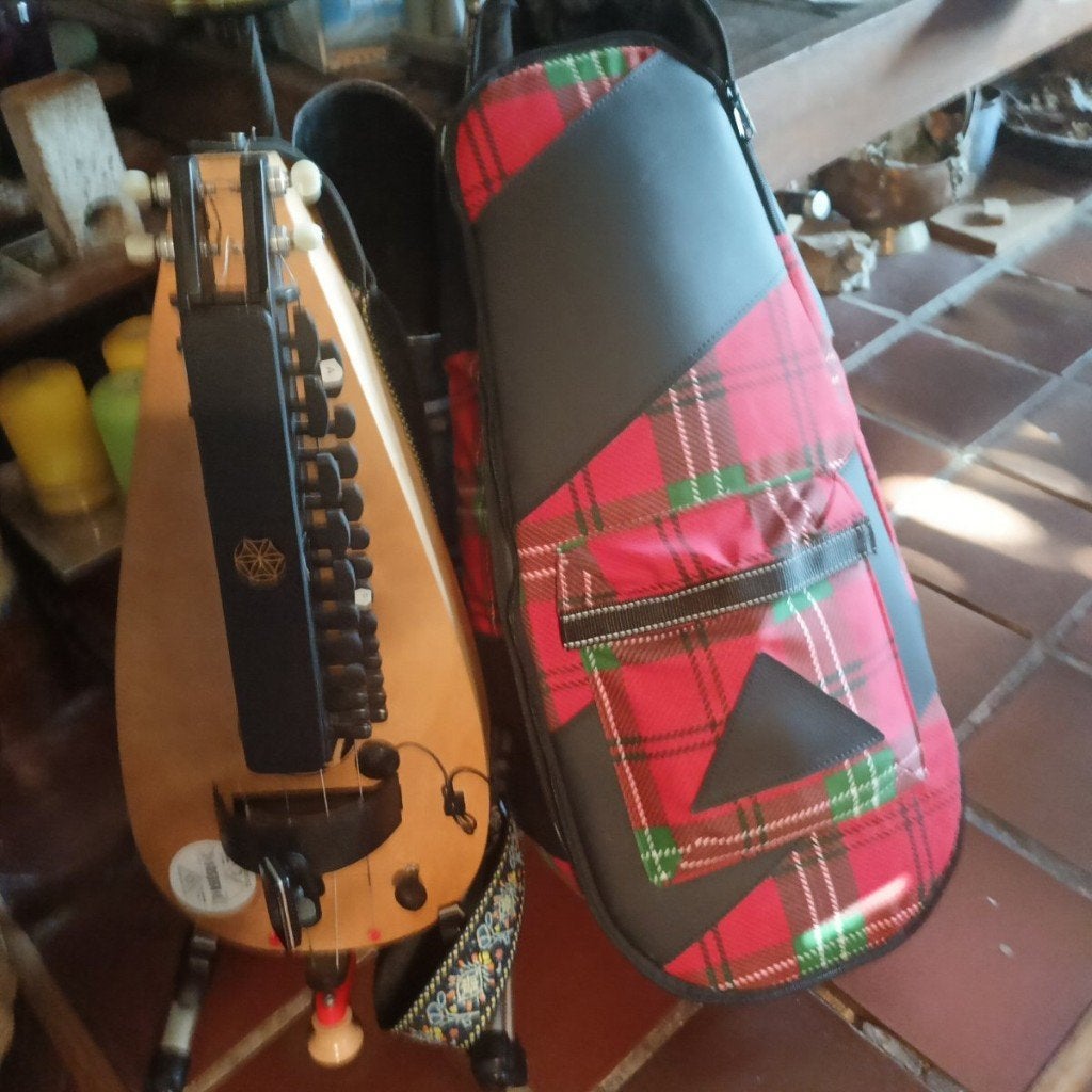 Te koop goede Hurdy Gurdy voor beginner, Ophalen of Verzenden, Zo goed als nieuw, Overige typen