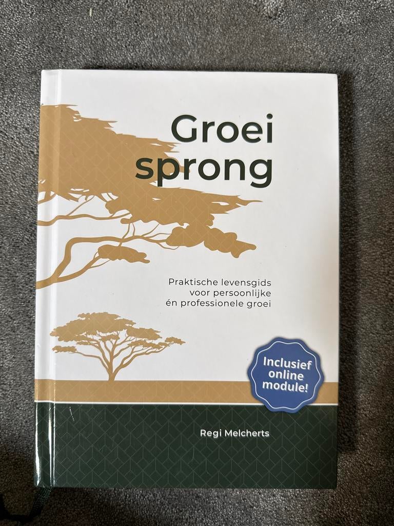 Groeisprong - Praktische levensgids, Ophalen of Verzenden, Nieuw
