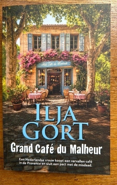 Ilja Gort - Petit Café du Bonheur, Ophalen of Verzenden, Zo goed als nieuw, Ilja Gort, Nederland