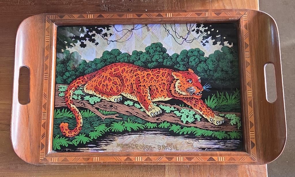 Vintage dienblad mahonie vlinder vleugels Mato Grosso Brazil, Antiek en Kunst, Ophalen of Verzenden