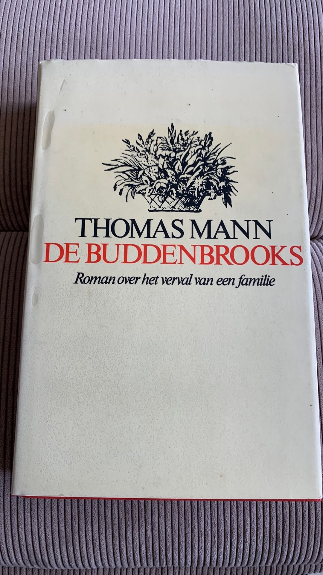 De Buddenbrooks - Thomas Mann, Boeken, Ophalen of Verzenden