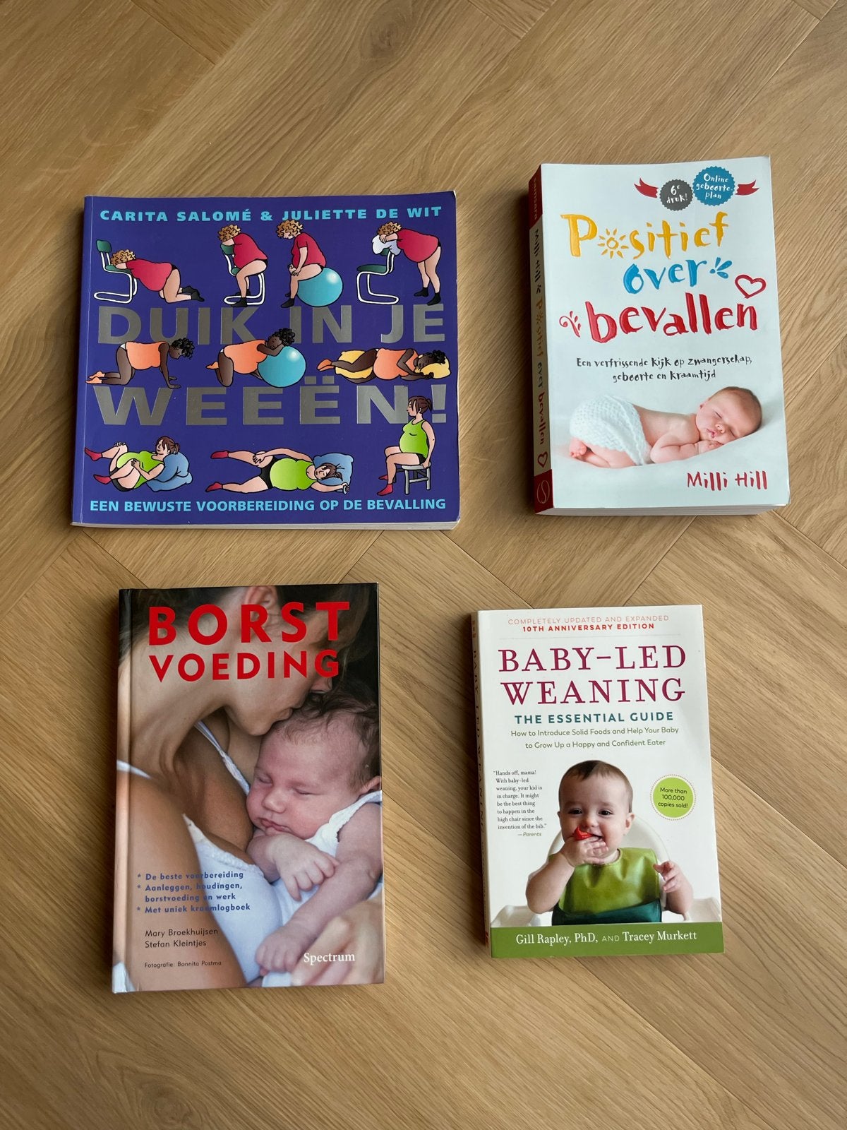 Boeken over zwangerschap, bevalling en babyvoeding, Ophalen, Zo goed als nieuw, Zwangerschap en Bevalling