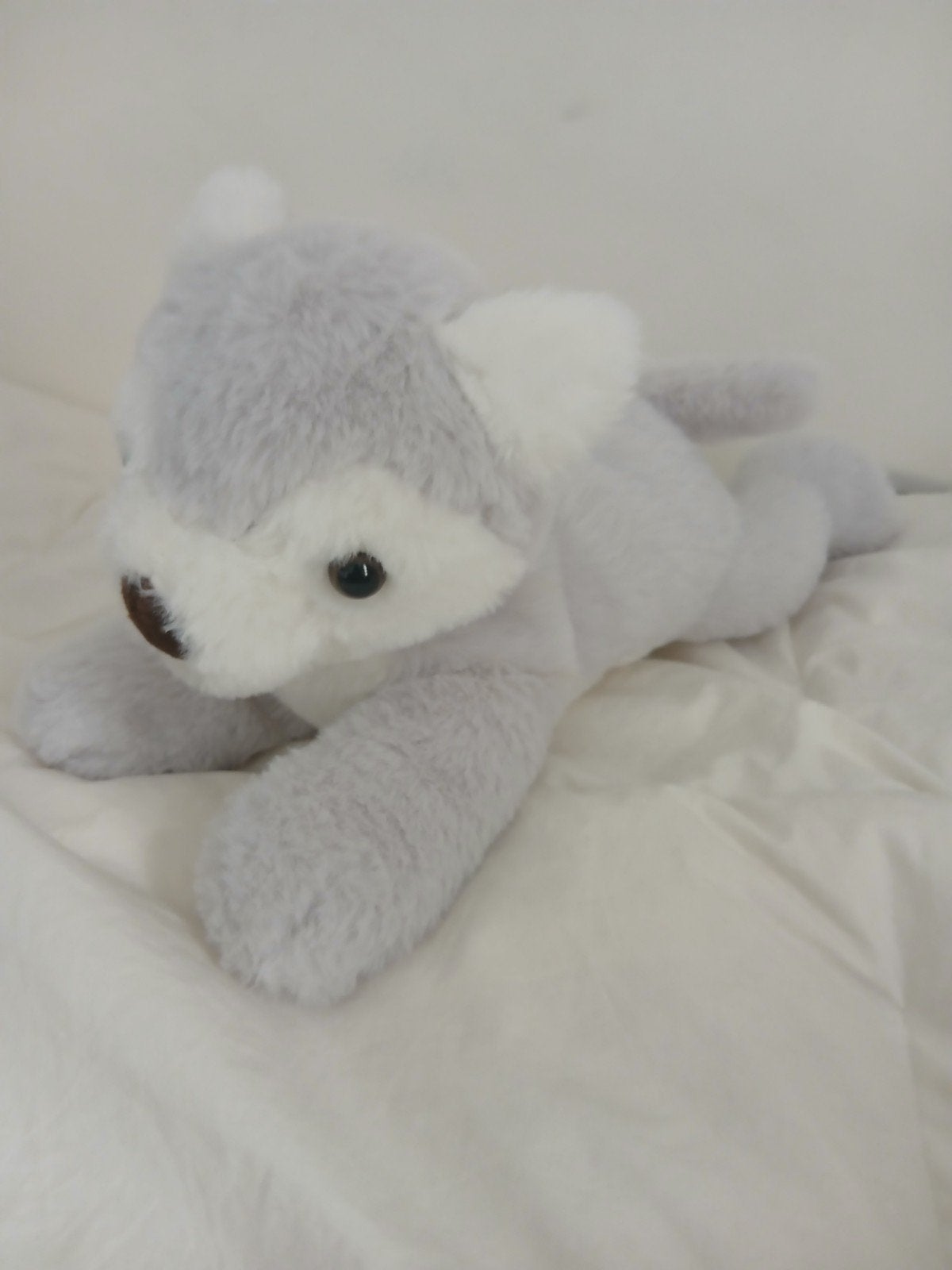 Schattige grijze husky knuffel - Zo goed als nieuw, Overige merken, Overige karakters, Grijs, Zo goed als nieuw