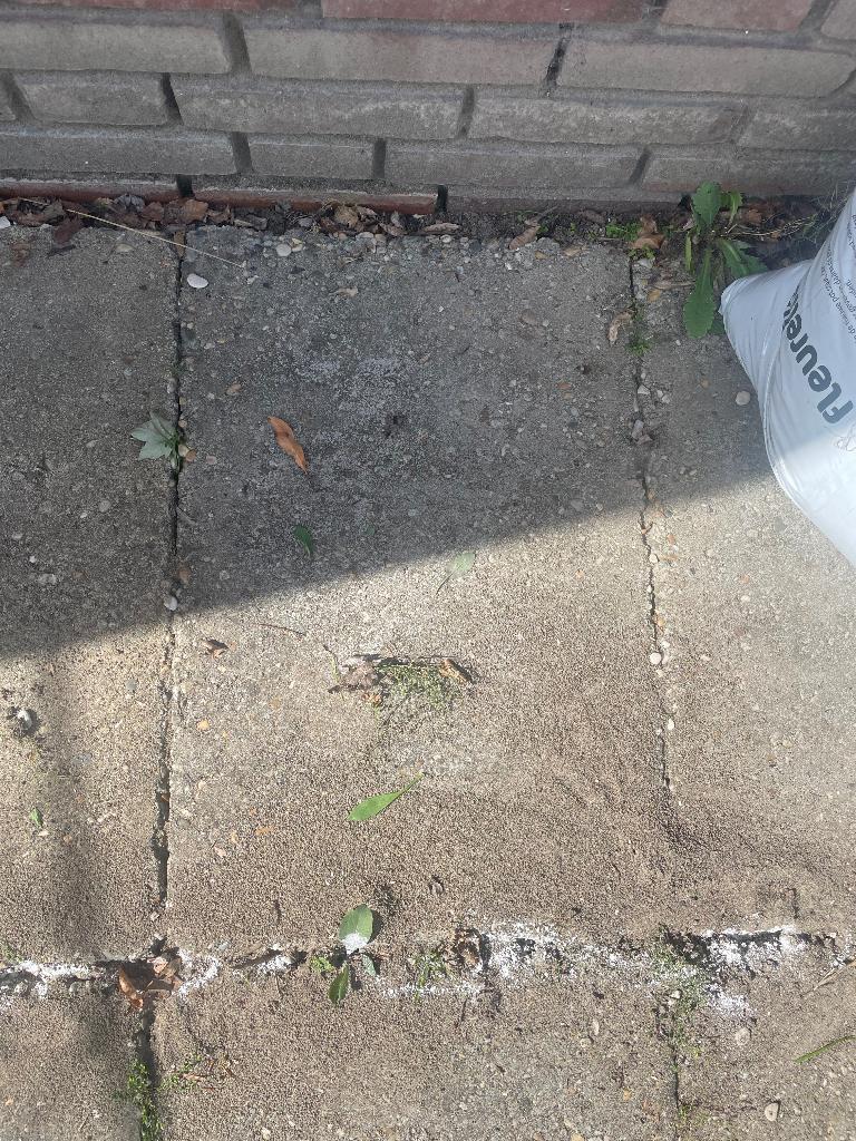 Gratis tegels beton 20 stuks 60x40, Ophalen, Gebruikt, Minder dan 5 m², Beton