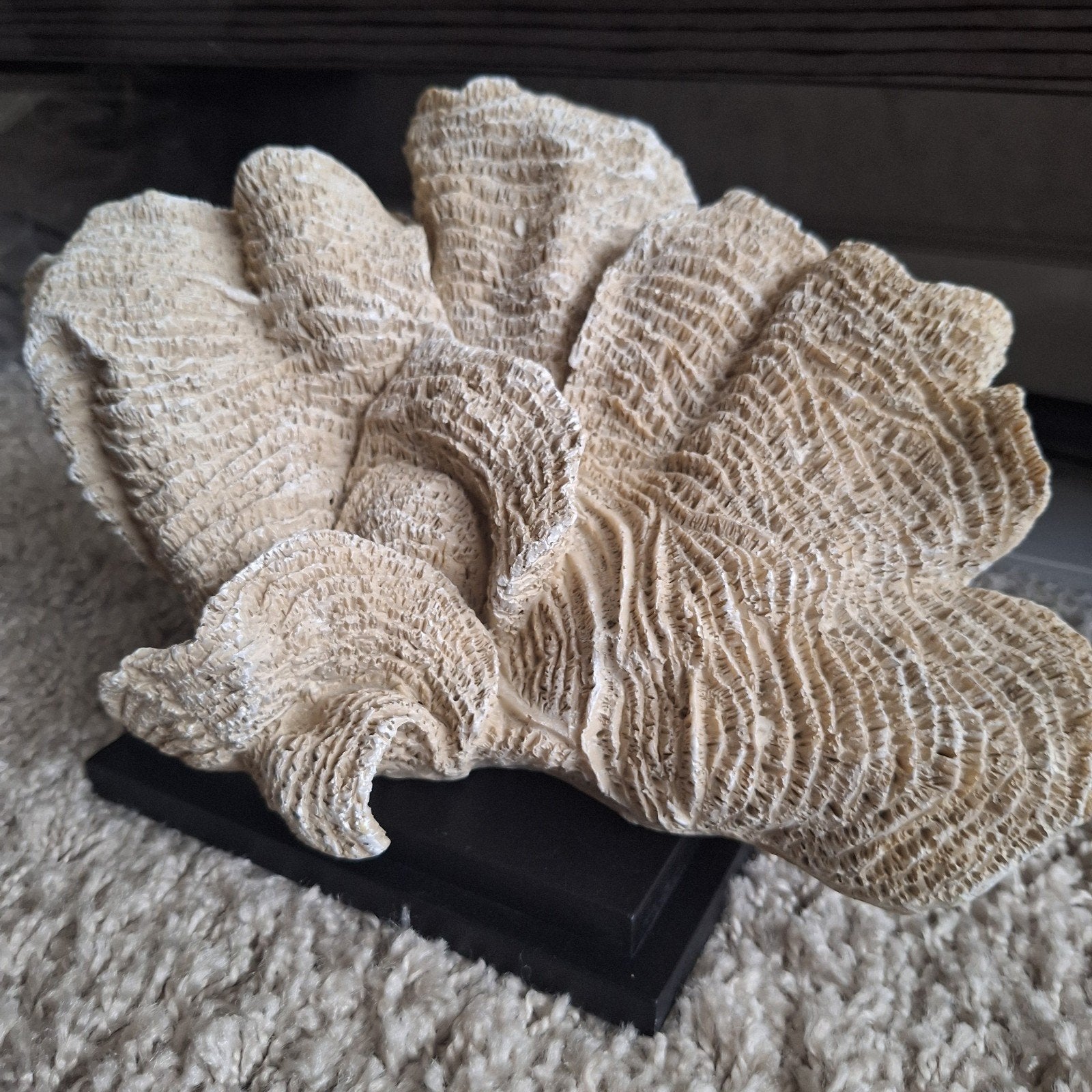 Gaaf groot koraal look ornament beige creme op zwarte voet, Beige, Nieuw, Ophalen of Verzenden, X