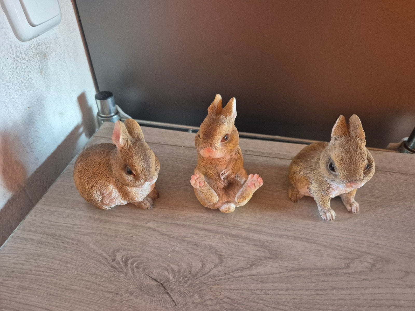 3 konijnen, Ophalen of Verzenden, Zo goed als nieuw, Dier