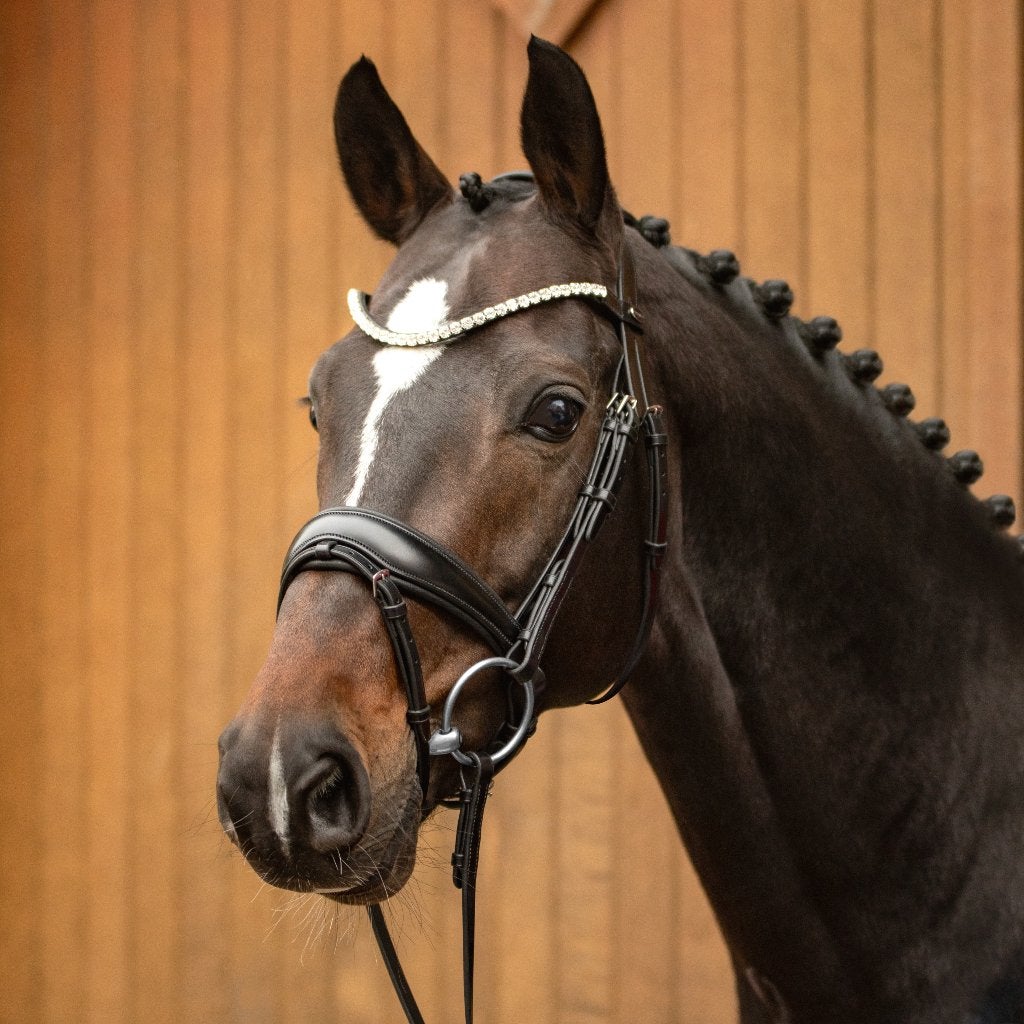 Passier Favorite Powered by Ingrid Klimke, Cob, Full, X-Full, Ophalen of Verzenden, Nieuw