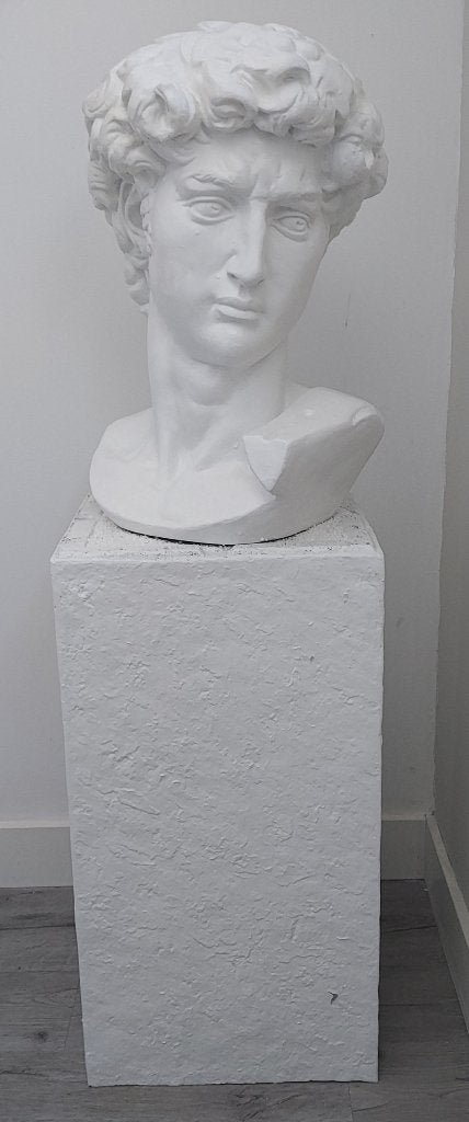 buste david, Ophalen