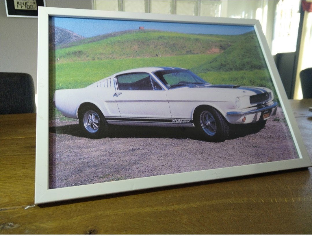 Poster 1965 Ford Mustang Shelby, Ophalen of Verzenden