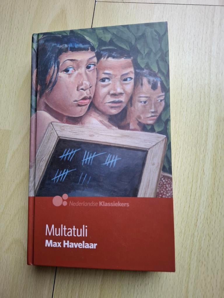 Multatuli Max Havelaar, Boeken, Literatuur, Ophalen of Verzenden, Zo goed als nieuw