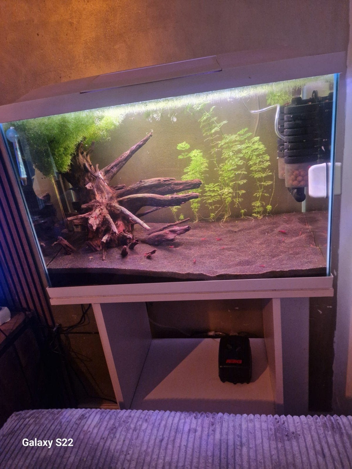 Mooi aquarium, Ophalen, Zo goed als nieuw, Leeg aquarium