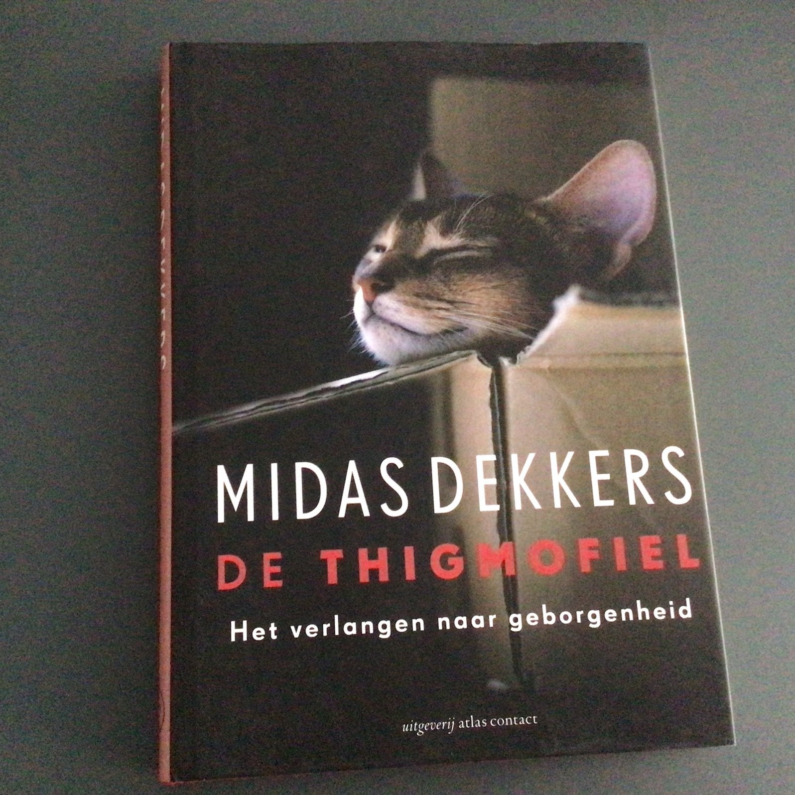 Midas Dekkers - De thigmofiel, Boeken, Filosofie, Zo goed als nieuw, Ophalen of Verzenden