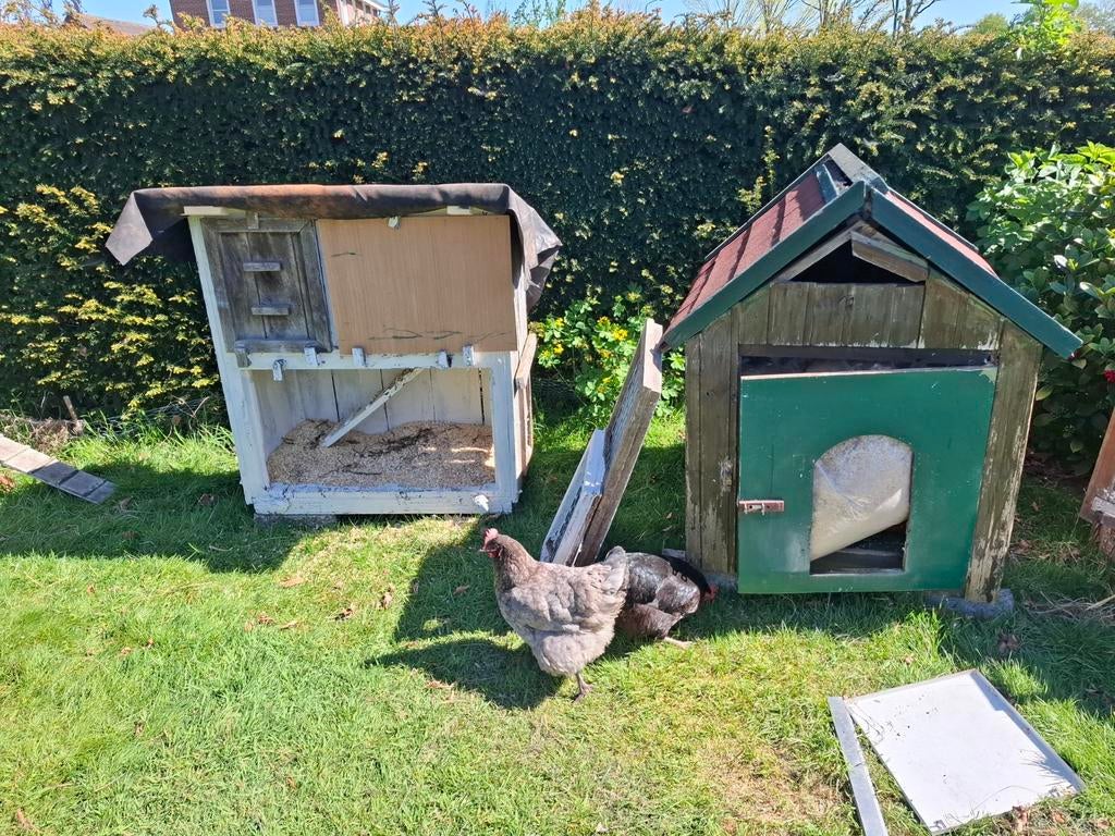 Gratis hok, Dieren en Toebehoren, Pluimvee | Toebehoren, Ophalen of Verzenden, Kippenhok of Kippenren