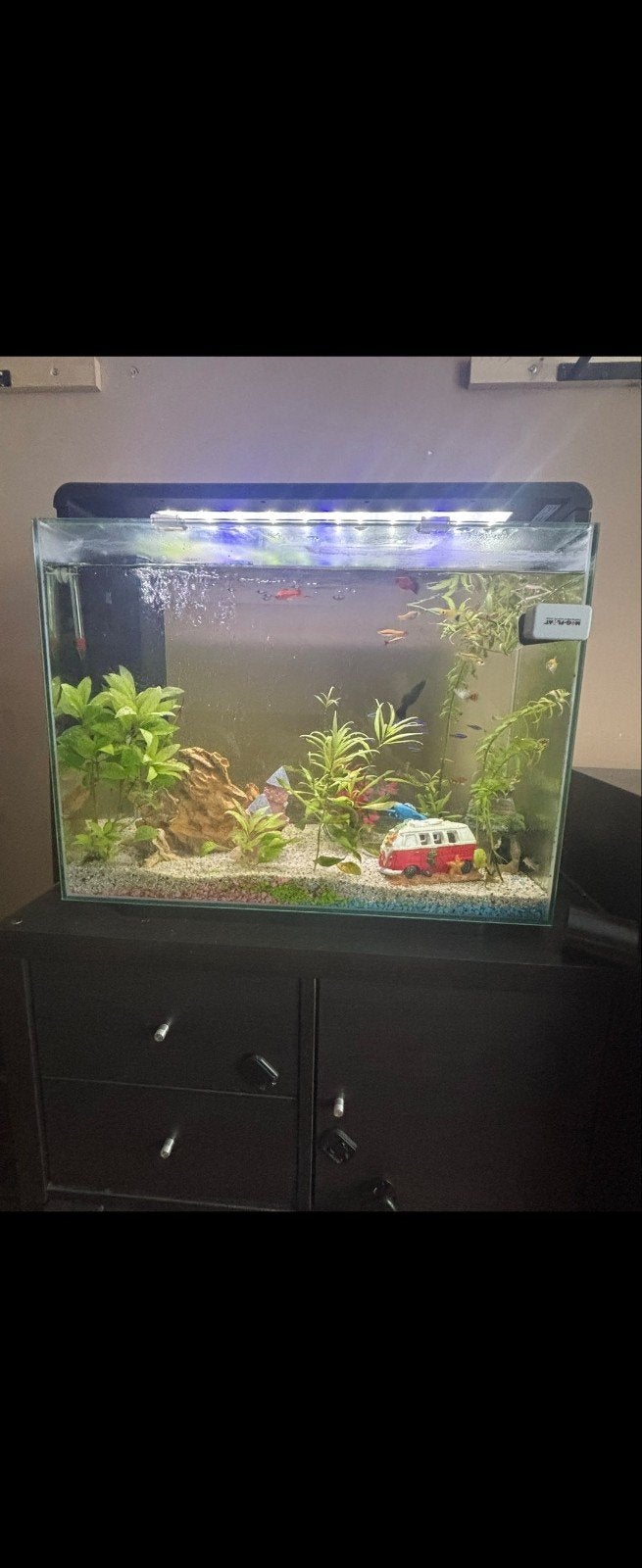 aquarium 80 liter compleet, Dieren en Toebehoren, Ophalen, Gevuld zoetwateraquarium