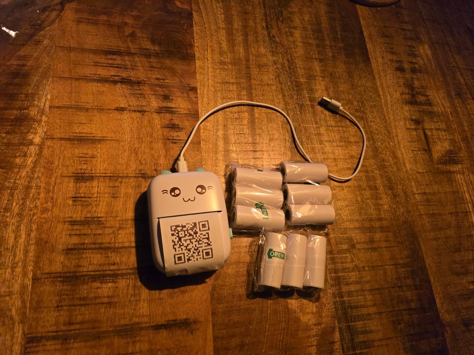 Mini Thermische Printer met 9 Extra Rollen Papier, Computers en Software, Ophalen