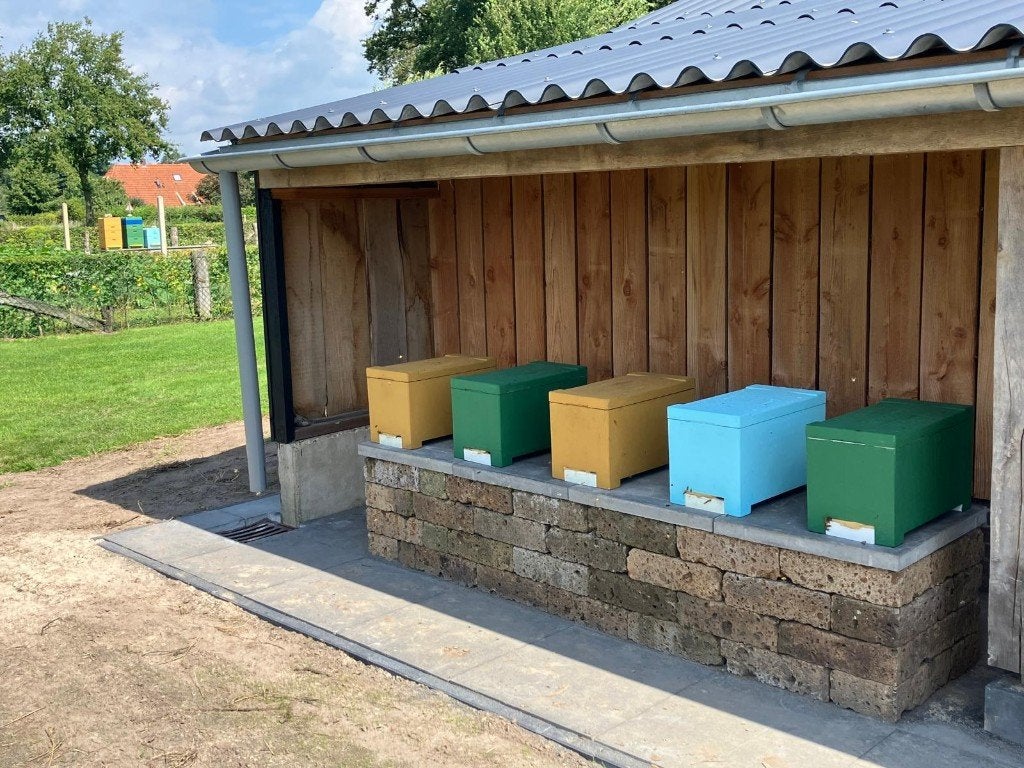 Buckfast bijenvolken in zesramer, Bijen