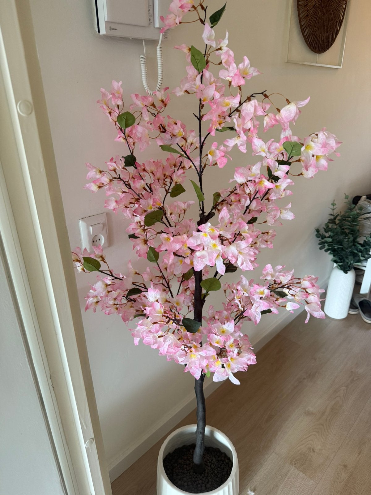 Bloesem Boom, Ophalen, Binnen, Roze, Zo goed als nieuw