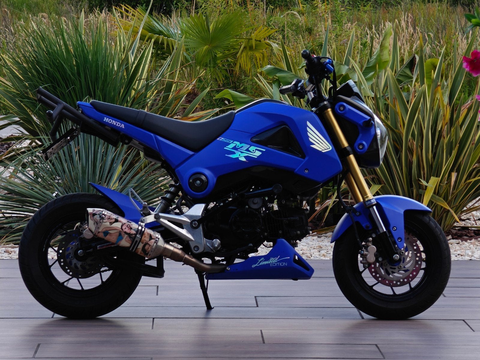 Full Option Honda Grom (7.000 km), Ophalen of Verzenden